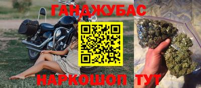 гидра Лесосибирск