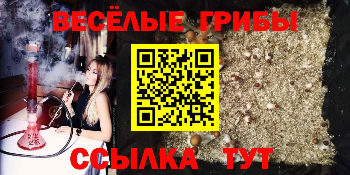Усть-Илимск  Галлюциногенные грибы мухоморы  Вход с VPN 