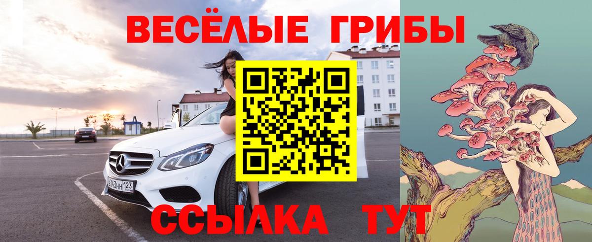 Галлюциногенные грибы прущие грибы Усть-Илимск